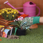 Fertlizante Flores Orgânico