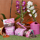 Fertlizante Orquídeas Orgânico