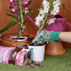 Fertlizante Orquídeas Orgânico