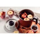 Fervedor C/ Tampa Antiaderente Paris 14 Cm 1 9 L  Vermelho Tr