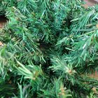 Festão Aramado Verde Decoração Natal Com 2 Metros 200 Galhos