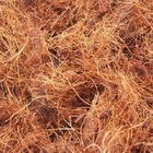 Fibra De Coco Pronta Jardinagem 50g