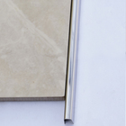 Filete Pp1 Inox Microtexturizado 120 Cm