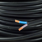 Fio Cabo Pp 2x2,5mm Rolo 50 Metros