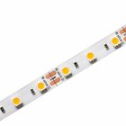 Fita 12v Eco 10w/m 700lm/m Irc70 5mt 3000k