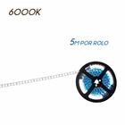 Fita De Led 120 Leds/metro Rolo Com 5 Metros 48w 2835 Branco