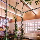 Fita de Led Luz Branca IP20 12W 12V Gaya 5m