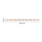 Fita De Led Nordecor Com 5 Metros Ip65 156leds/m 13w 12v 4000
