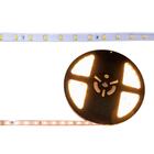 Fita De Led Profissional 2835 Direto Na Rede 127v Rolo Com 5m