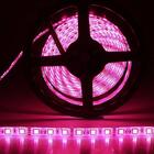 Fita Led 5050 300 Leds Rosa Pink A Prova D'água