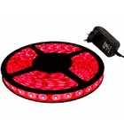 Fita Led 5050 5 Metros Alpha Lumen Ip65 Vermelho