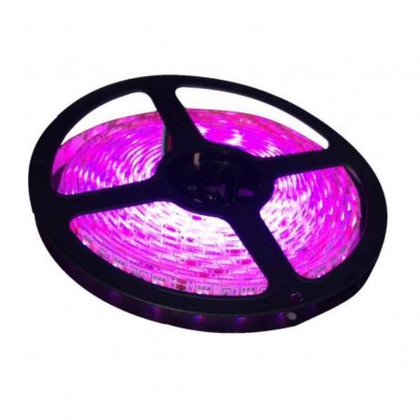 Fita Led 5050 Rosa Alpha Lumen 1m/60 Leds 5m Ip65