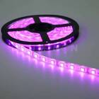 Fita Led 5050 Rosa Alpha Lumen 1m/60 Leds 5m Ip65