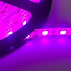 Fita Led 5050 Rosa Rolo 5 Metros 12vflexível Ip65