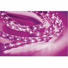 Fita Led 5w 60 Leds Caixa Com 20 Metros 220v Ip67 Taschibra R