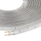 Fita LED Luz Branca 4,8W 5m IP 65 Gaya 127V (110V)