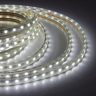 Fita LED Luz Branca 5m IP 65 Luminatti 127V (110V)