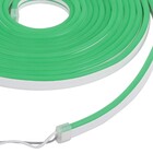 Fita LED Luz Verde 5m IP65 12V Neon Gaya