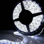 Fita Super Led 5mt 3528 Branco Frio 24w 12v 300 Leds + Fonte