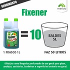 Fixener Eco Maxbio 1l + Frasco Aplicador