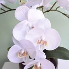 Flor Artificial Arranjo De 3 Orquídeas Silicone Brancas No Va