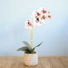 Flor Artificial Arranjo De Orquídea Tigre No Vaso De Cimento