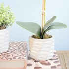 Flor Artificial Arranjo De Orquídea Tigre No Vaso De Cimento