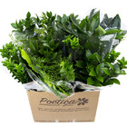 Flor de Corte Maço Folhas Variadas