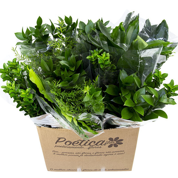 Flor de Corte Maço Folhas Variadas