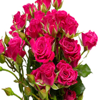 Flor de Corte Rosa Spray 3 Hastes Maço