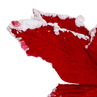 Flor de Natal Poinsétia Vermelha e Branca 20x17cm  Cromus