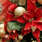 Flor de Natal Poinsétia Vermelha e Dourada 26x26x27cm Cromus
