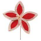 Flor De Natal Poinsetia Vermelho 1un 20x20x20cm 1113304