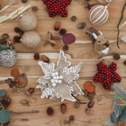 Flor Mar Marfim 15x25x25cm Cromus