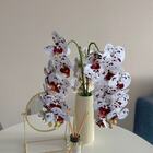 Flor Orquídea Artificial Branca E Vinho 15 Unidades Com Botõe