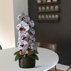 Flor Orquídea Artificial Branca E Vinho 15 Unidades Com Botõe