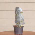 Flor Orquídea Branca Artificial Realista 10 Unidades Para Arr