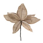 Flor Poinse 20x28x28 Br