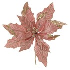 Flor Poinsetia 20x24x24 Rs