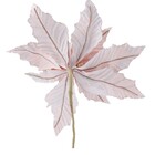 Flor Poinsetia 20x24x24 Rs