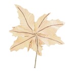 Flor Poinsetia 30x18x18 Ou