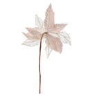 Flor Poinsétia Champanhe 23x23x30cm Cromus