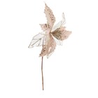 Flor Poinsétia Champanhe 23x23x30cm Cromus