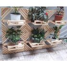 Floreira De Parede 6 Estrelas Madeira Pinus