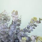 Flores Artificiais Arranjo De Eucaliptos No Vaso De Vidro Bro