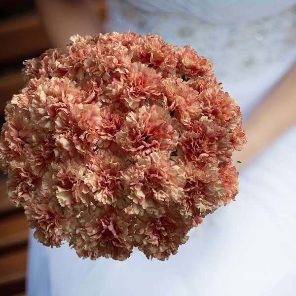 Flores Permanentes Hastes De Cravos Kit Com 20 Unidades Reali