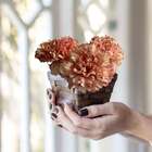 Flores Permanentes Hastes De Cravos Kit Com 20 Unidades Reali