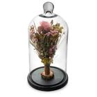 Flores Secas Na Cúpula Rosa Decoração Redoma 30cm