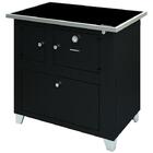 Fogão A Lenha Antonow Mônaco Chapa Vitrocerâmica Direito Pret