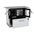 Fogão A Lenha Eclipse Direito Branco Chapa Ferro Fundido N2